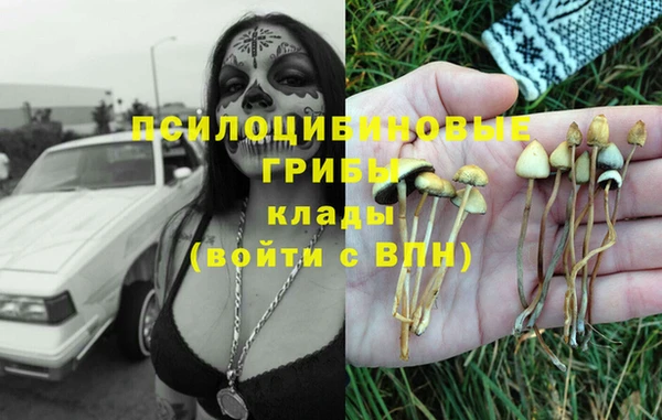 экстази Алексеевка