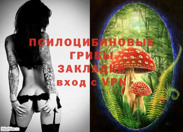 каннабис Алзамай