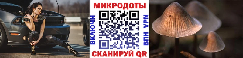 Галлюциногенные грибы Psilocybine cubensis  Юрьев-Польский 